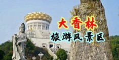 梦萝黄色导航免费版中国浙江-绍兴大香林旅游风景区